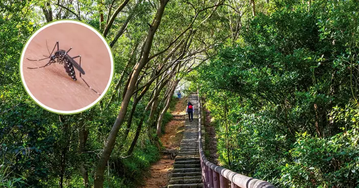 基孔肯雅熱｜再增一宗本地個案 曾到青衣自然徑行山67歲女子染疫