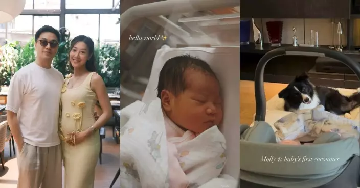 前港姐季軍丁子田宣布囡囡已出世 公開愛犬與B女初次見面溫馨畫面