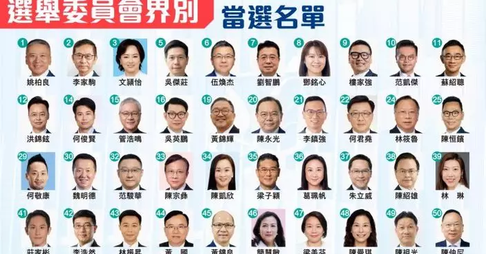 2025立法會選舉｜40個選委會議席投票結果一文睇