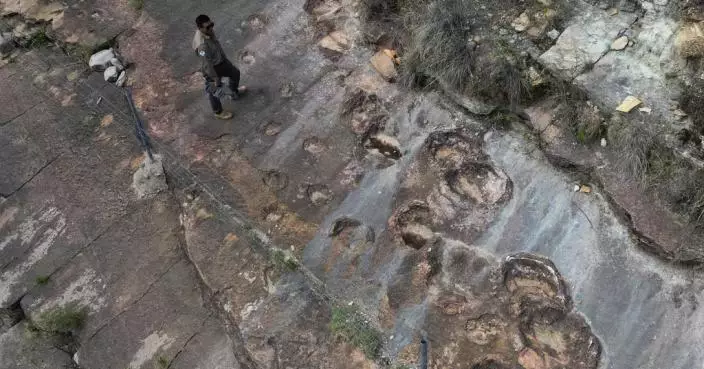 全球最密恐龍印記！ 玻利維亞驚現1.66萬個恐龍足跡 暴龍家族密集行走路線曝光
