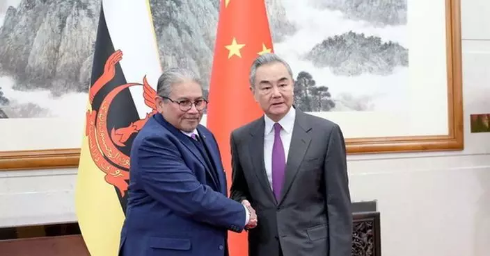 王毅與文萊外交主管部長會談 稱中方願與東盟對接發展戰略