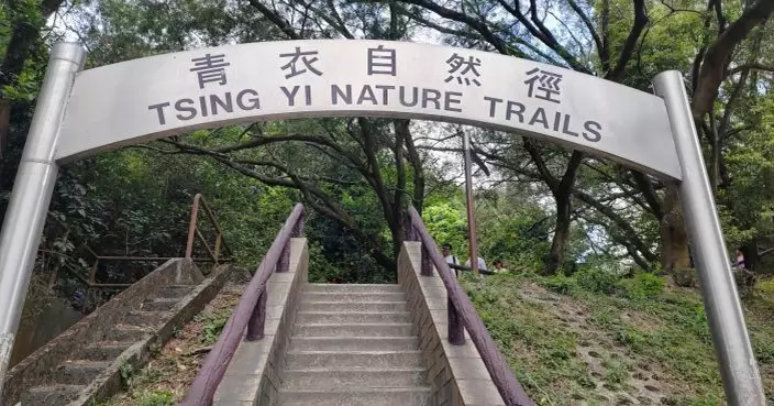 基孔肯雅熱 | 青衣自然徑已進行49次霧化滅蚊　清理逾千潛在蚊子滋生地