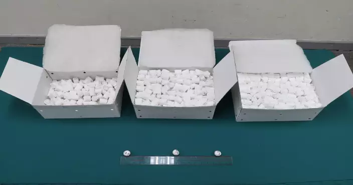 泰國抵港旅客疑帶值約千萬元瀕危物種鳥蛋入境被起訴 周一提堂