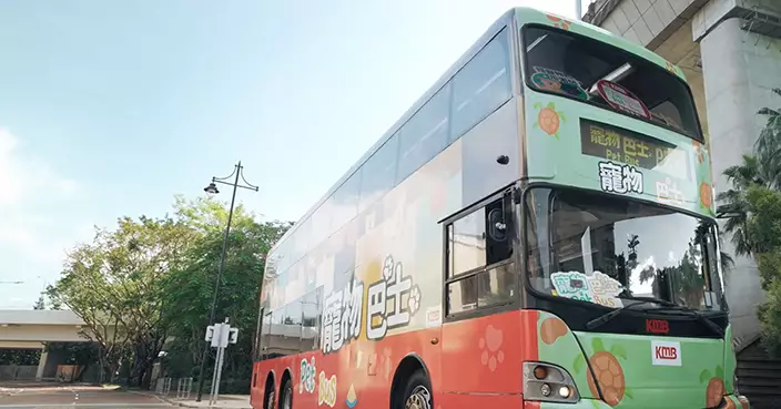 九巴周日開辦寵物巴士特別團 主人愛寵同遊中九龍繞道新體驗