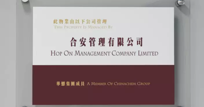 大埔火災 | 麥美娟：合安正查閱逾80萬份文件 簡介會不會撞期上樓執拾及聽證會　