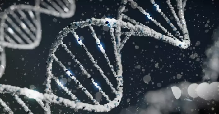 人類忠誠度僅排第七！劍橋科學家首創動物「單配制排行榜」 冠軍竟是小老鼠