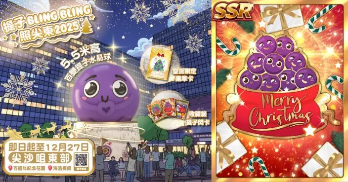 「提子」陪市民過平安聖誕 警隊三大防騙宣傳浪接浪