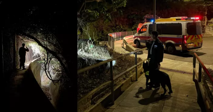 警方即日起一連四日 港島區展開跨部門反爆竊聯合行動