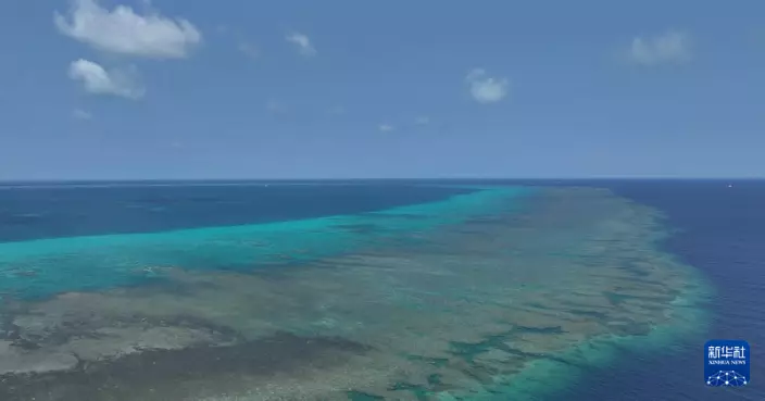 自然資源部發布調查 指菲律賓非法捕撈頻繁侵闖威脅黃岩島生態系統健康