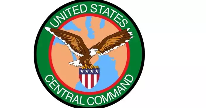 美國中央司令部：已打死或拘捕近25名伊斯蘭國武裝分子