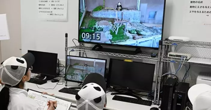 熊貓回國半年旅遊急凍　和歌山客量暴跌五成　樂園靠「人扮熊貓」撐場