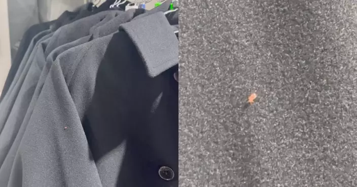 旺角GU貨品驚現紅色怪蟲 真身比床蝨更棘手？店方：已全面檢查並滅蟲！