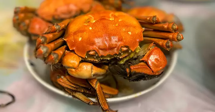 九龍城食肆違例售大閘蟹　食環署檢控負責人