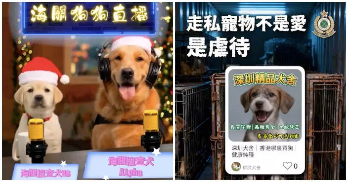 海關「狗狗電台」直播：走私寵物唔係愛，係虐待！