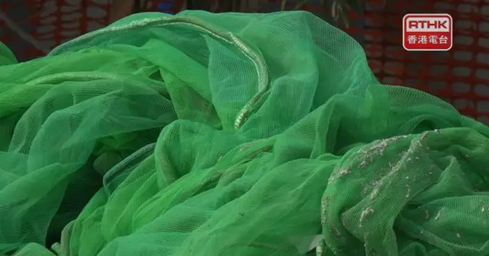 宏福苑五級火｜175幢私人樓宇棚網已移除　3幢申請額外時間　