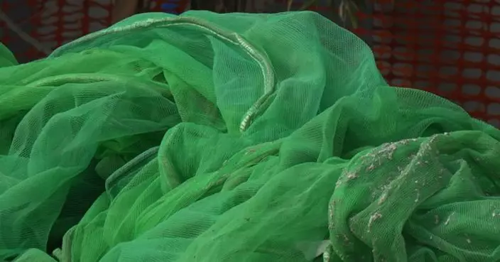 宏福苑五級火｜截至下午6時　224幢私人樓宇外牆棚網已移除