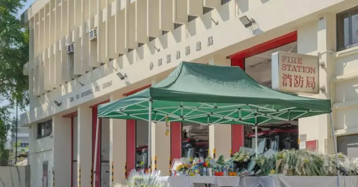 林健鋒獲委任為職業訓練局主席　任期兩年