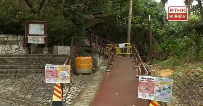 增一宗基孔肯雅熱本地個案　患者曾與11人到青衣自然徑遠足