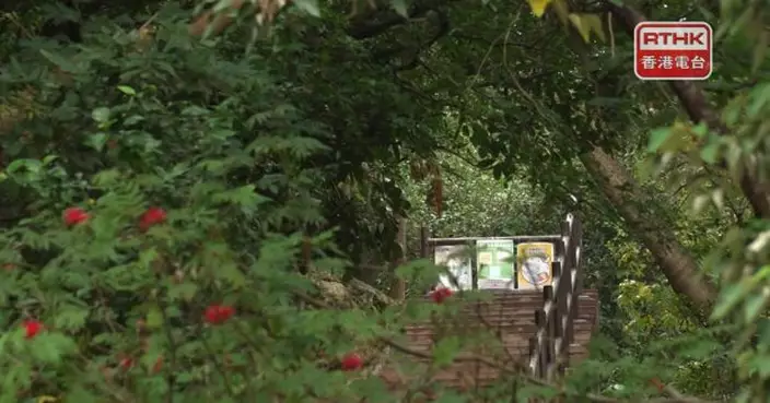 青衣自然徑繼續暫停開放　當局籲曾到訪並有病徵市民盡快求醫