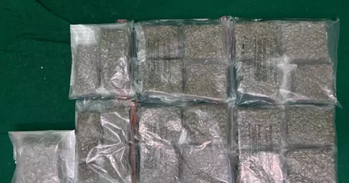 海關在機場檢獲約值220萬元懷疑大麻花拘一旅客