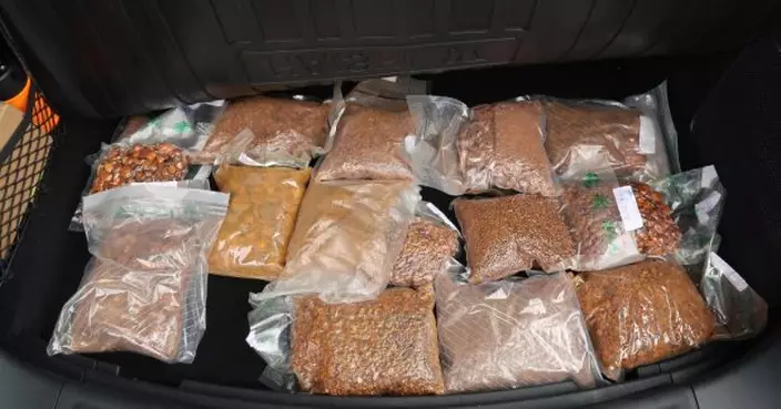 海關偵破涉嫌用私家車走私案件檢獲懷疑走私牛黃　男司機被捕