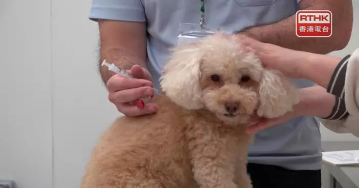 漁護署新大樓檢疫房間數量增　內地貓狗檢疫期縮短輪候時間減半年