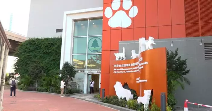 漁護署動物檢疫設施增加　內地進口貓狗檢疫輪候時間縮短