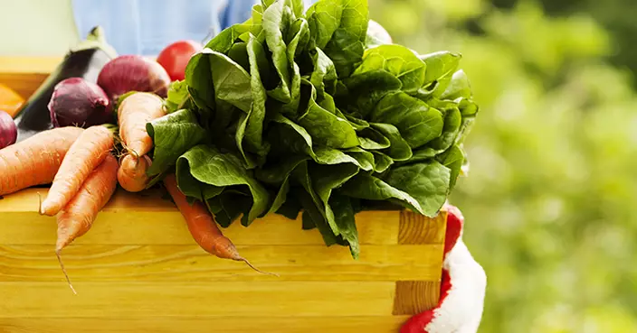 濕疹反覆發作？四類日常觸發因素與護理要點