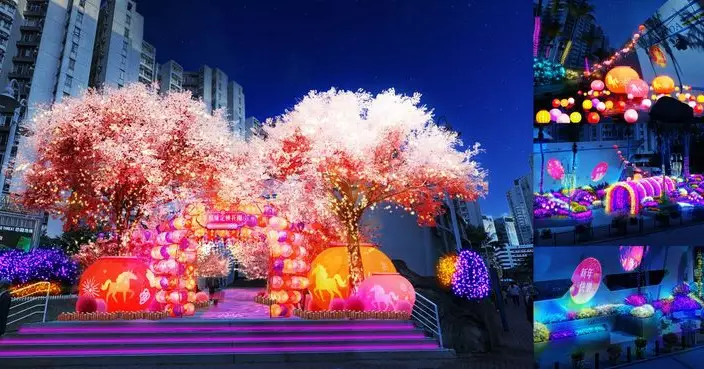 黃埔天地逾200燈籠打造「幸福緣定桃花園」  4大新春打卡花海位送上佳節喜慶