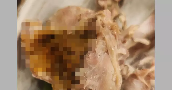 南韓食客蔘雞湯名店用餐疑食到「雞屎」 店家甩鍋供應商惹公憤