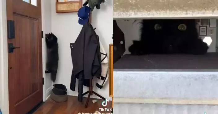 美郵差上門投遞信件遭黑貓「出手攔截」屢失敗 飼主無奈寫信致歉