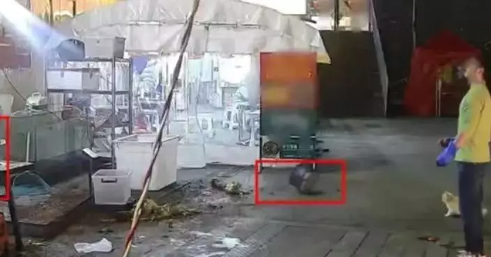 7公斤花盆從天而降 貴陽烤魚店老闆行開餵流浪貓恰好避過有驚無險