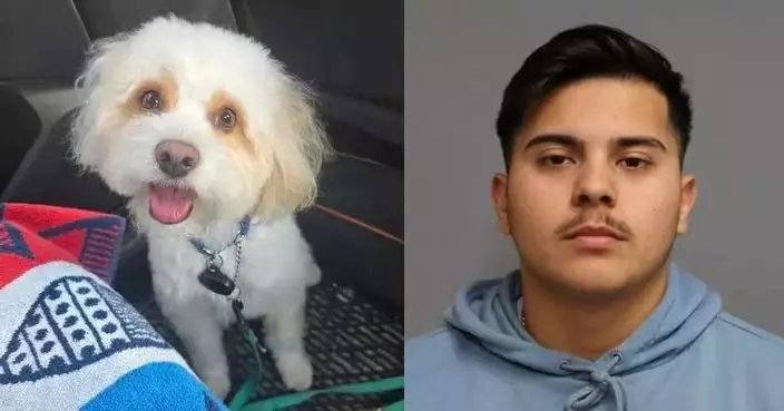 美國女飼主外遊驚聞噩耗 愛犬遭毒殺內出血身亡 兇手竟係「他」！