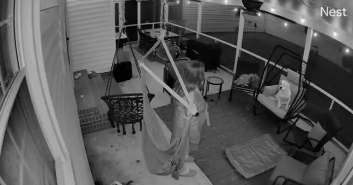 凌晨被愛犬喚醒以為想如廁 女飼主頂寒風陪伴卻見牠坐後院吊椅「歎世界」