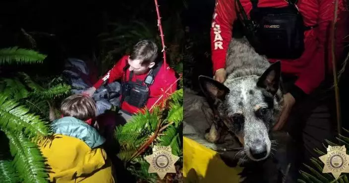 美8旬失智症長者零度天氣受困山區 鬥牛犬不離不棄吠叫引導搜救助獲救