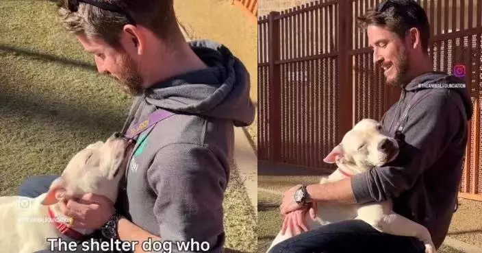 街頭流浪獲收容所救助 溫柔狗狗一見人即主動索抱瞬間俘獲義工芳心