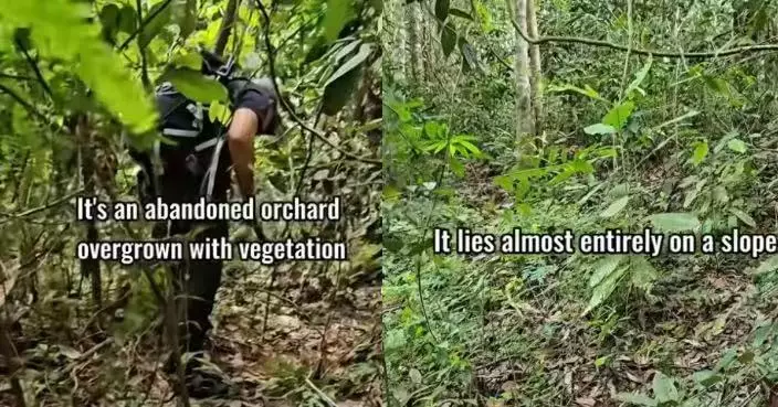 購入荒廢果園 大馬男架設紅外線攝影機意外捕捉16種珍稀動物身影