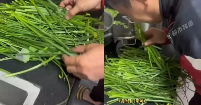 險釀中毒！廣東人夫收割露台「韭菜」放廚房備菜 妻子驚覺係自己所種「風雨蘭」