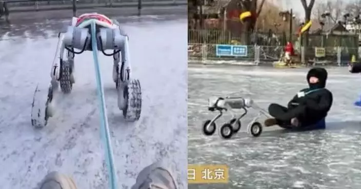 雪橇犬都失業？哈爾濱引入機械狗拉爬犁載遊客前行 輪式冰爪穩定轉彎不打滑