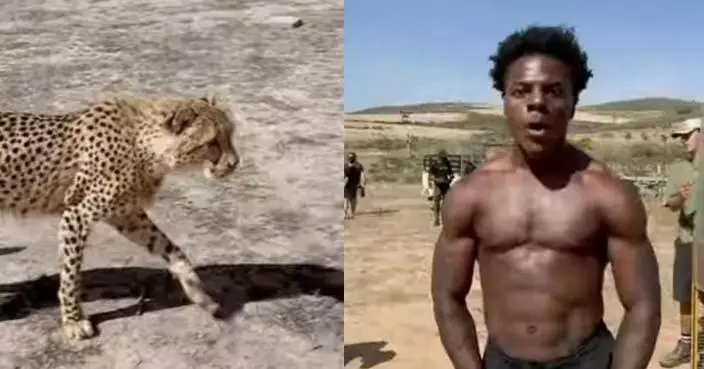 美網紅IShowSpeed與獵豹賽跑鬥快 未開跑先中招遭抓傷帶血硬拚落後10秒