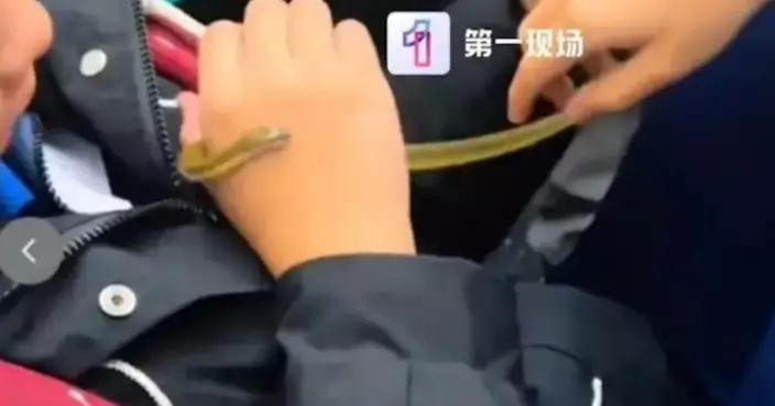 帶寵物蛇搭地鐵 深圳女學生車廂內把玩引網民質疑安檢形同虛設