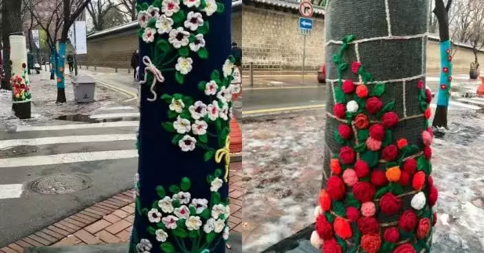 美觀防寒又防蟲！南韓街頭樹木著「針織外衣」成冬日療愈風景