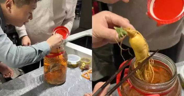 人參浸泡藥酒內3年離奇長出綠芽 滬男曝光開封過程引網民揶揄：要成仙了？