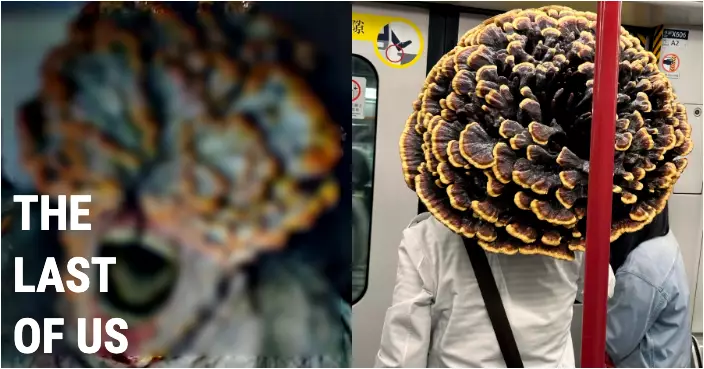 港鐵現「靈芝大叔」肩托巨菇出巡 網友：以為睇緊the last of us