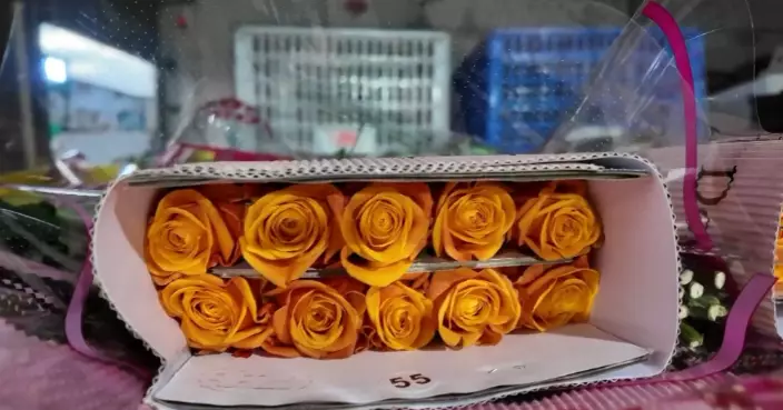 零下40度送花唔凋謝！雲南鮮花48小時直送漠河 靠三層「寒衣」保鮮