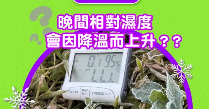 新界空曠地區輻射冷卻較為明顯 天文台：局部地區仍有機會結霜