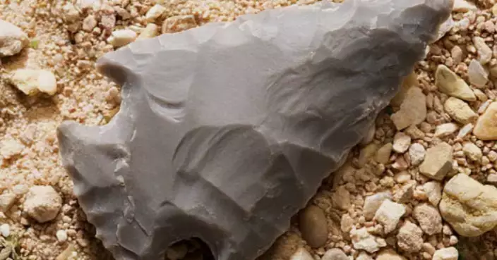 南非考古發現：6萬年前人類識用植物毒藥製武器