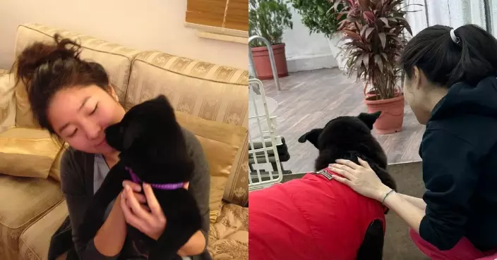 喪父未久再失摯愛 許紹雄愛女許惠菁痛別相伴12年愛犬