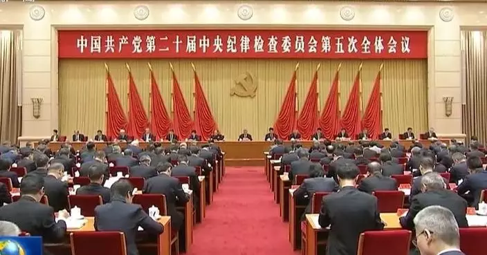 中紀委王承文：應盡快修訂行業領域法規縫隙漏洞等問題　