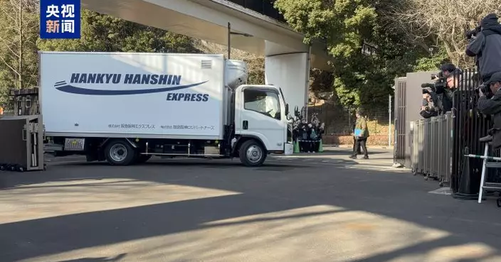 大熊貓「曉曉」「蕾蕾」離開上野動物園 由日本啟程回國